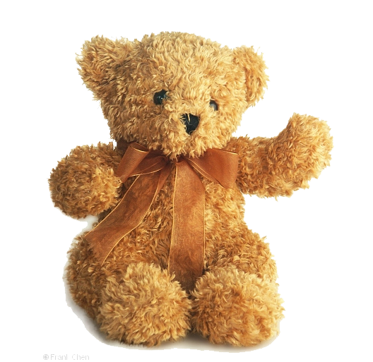 Detail Teddy Bear Transparent Nomer 22