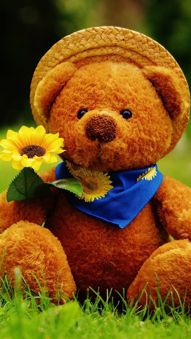 Detail Teddy Bear Wallpapers For Mobile Nomer 7