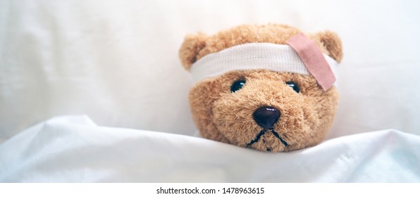 Detail Teddy Bear With Bandage Nomer 31