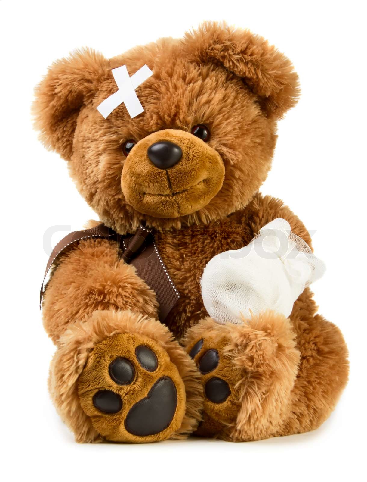 Detail Teddy Bear With Bandage Nomer 5