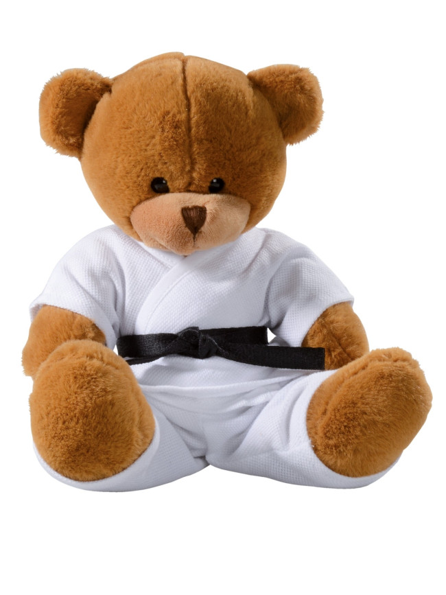 Detail Teddy Bear With Boxing Gloves Nomer 23