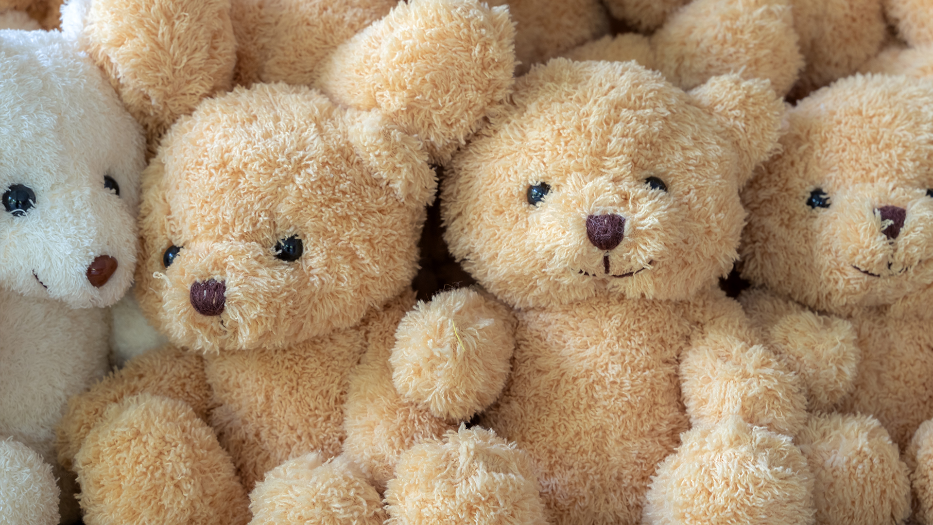 Detail Teddy Bears Images Nomer 25