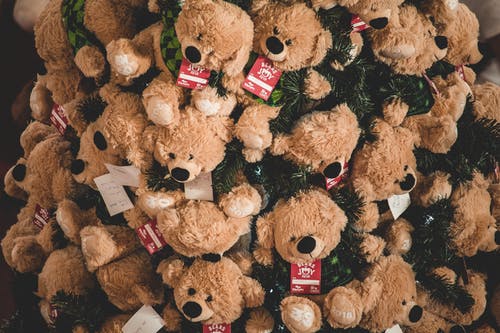 Detail Teddy Bears Images Free Download Nomer 28