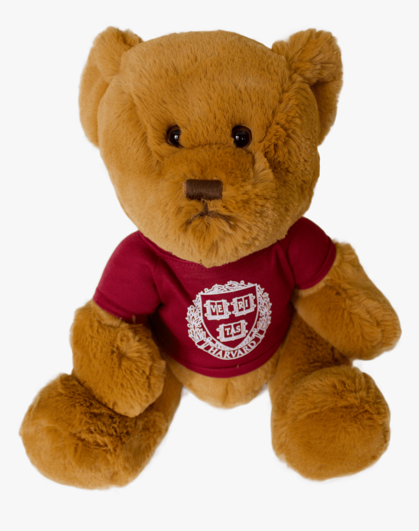 Detail Teddy Bears Images Free Download Nomer 32