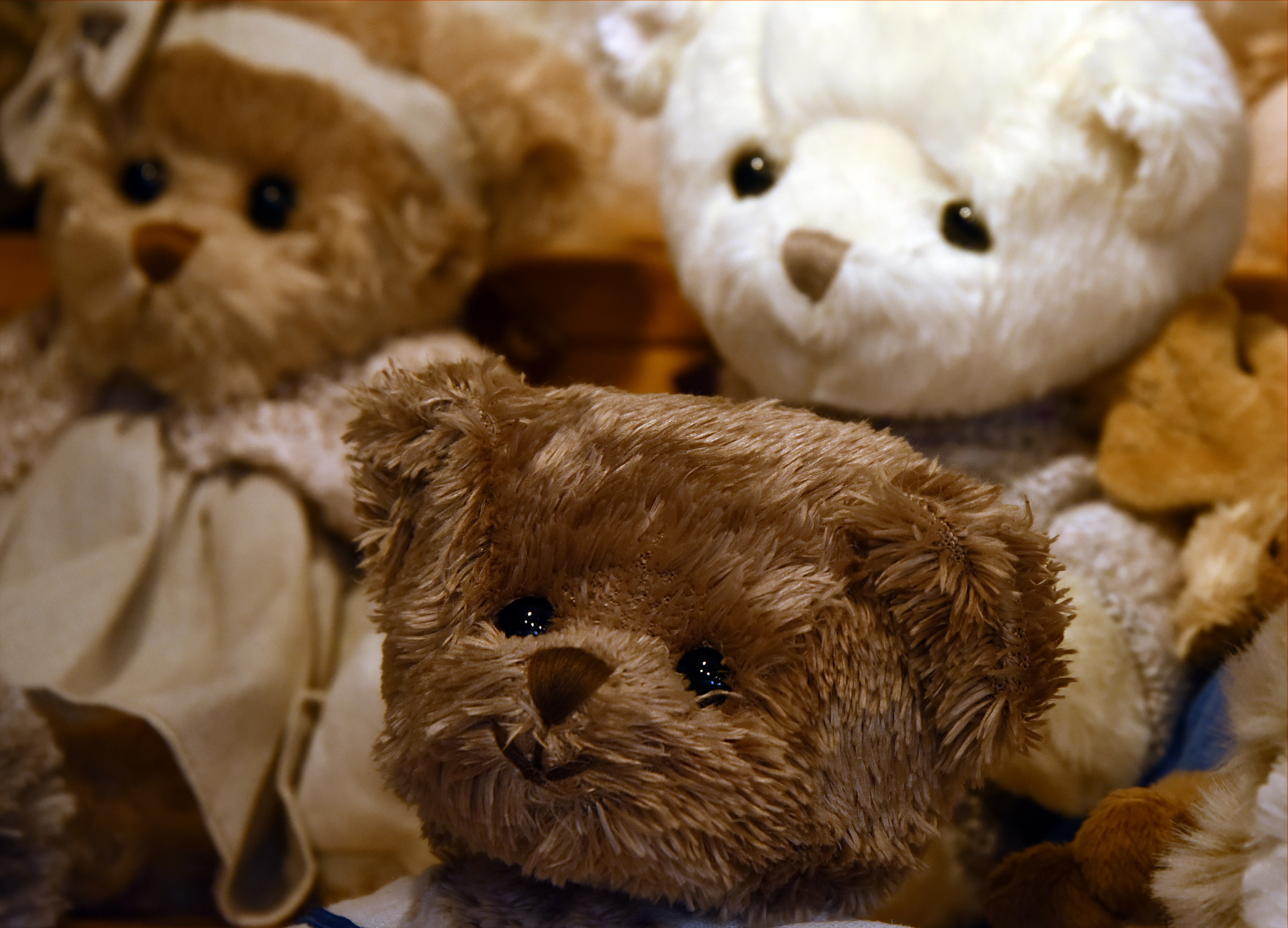 Download Teddy Bears Images Free Download Nomer 43