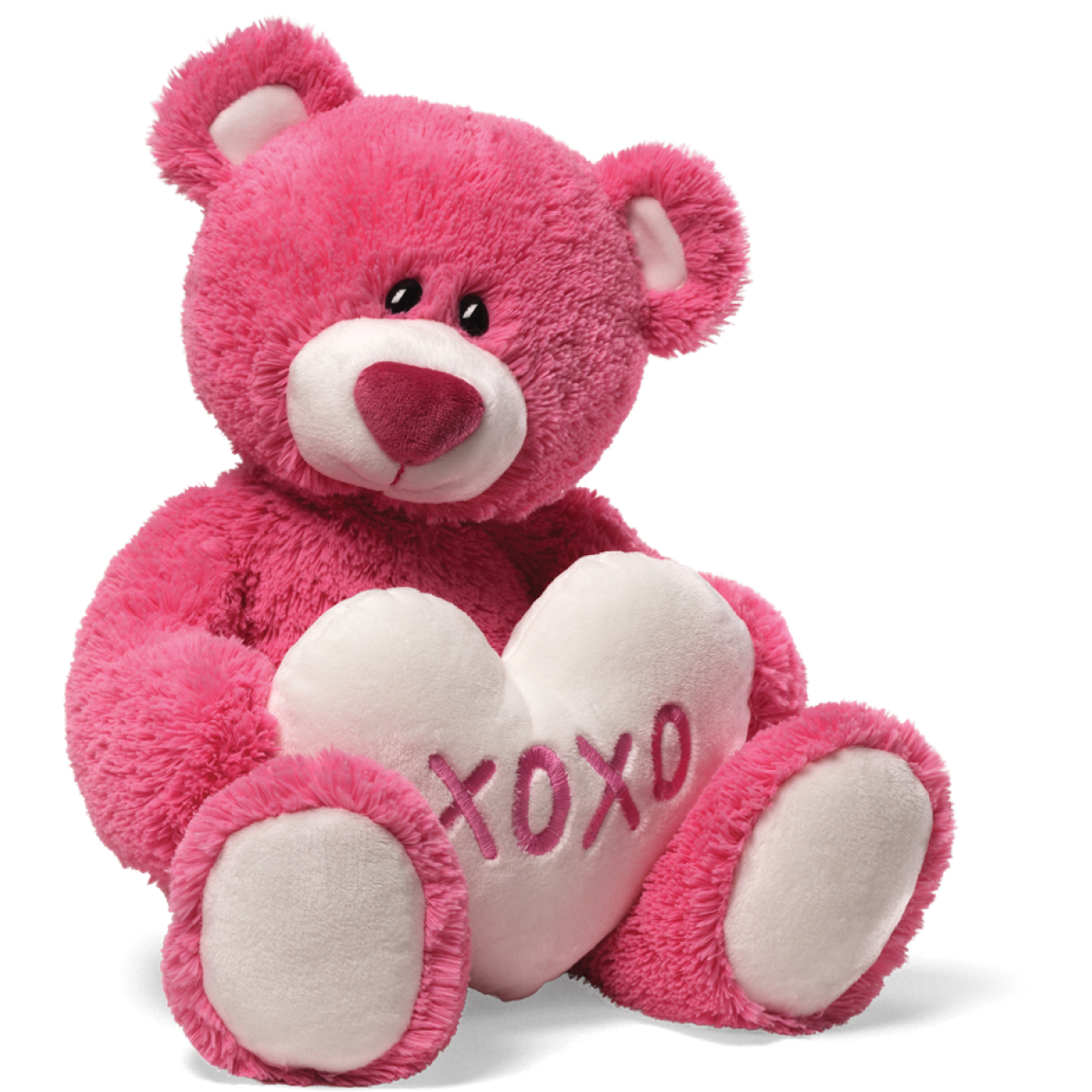 Detail Teddy Hd Nomer 46