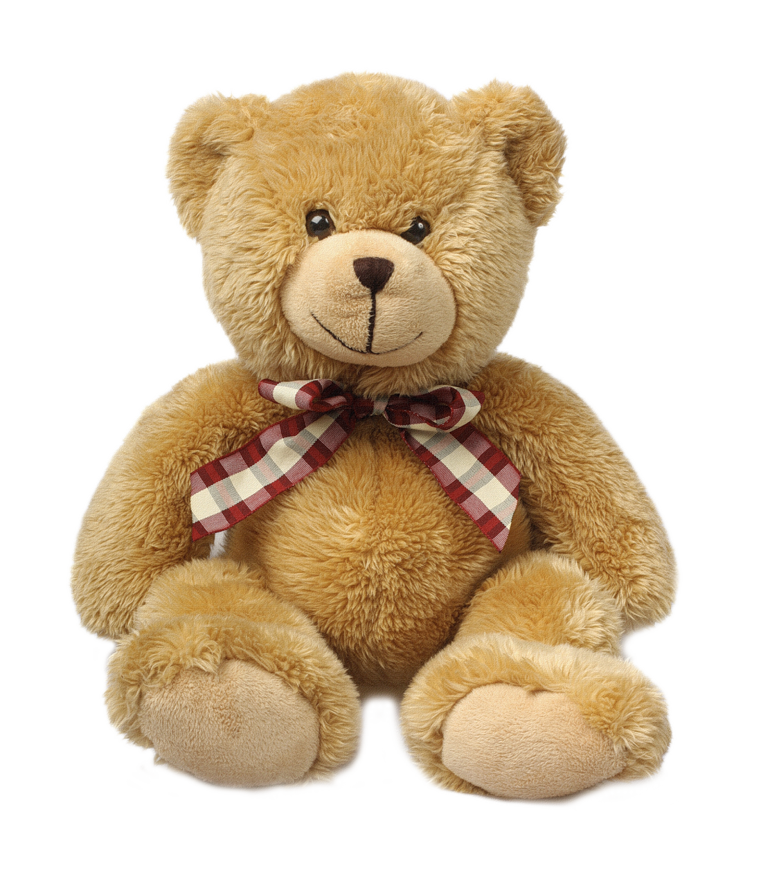 Teddy Png - KibrisPDR