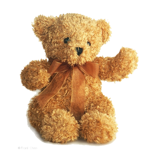 Detail Teddy Png Nomer 24