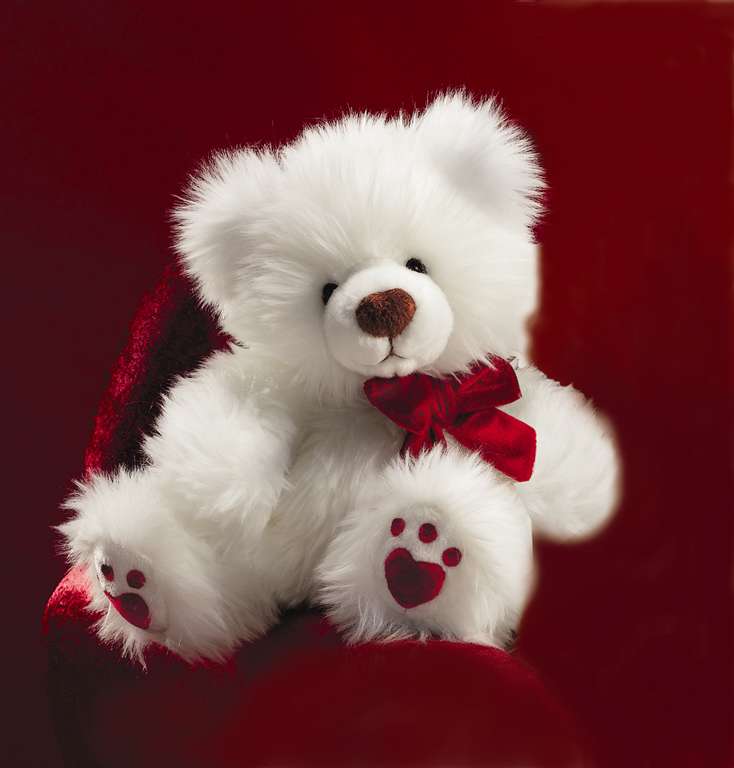 Detail Teddy Wallpaper Nomer 44