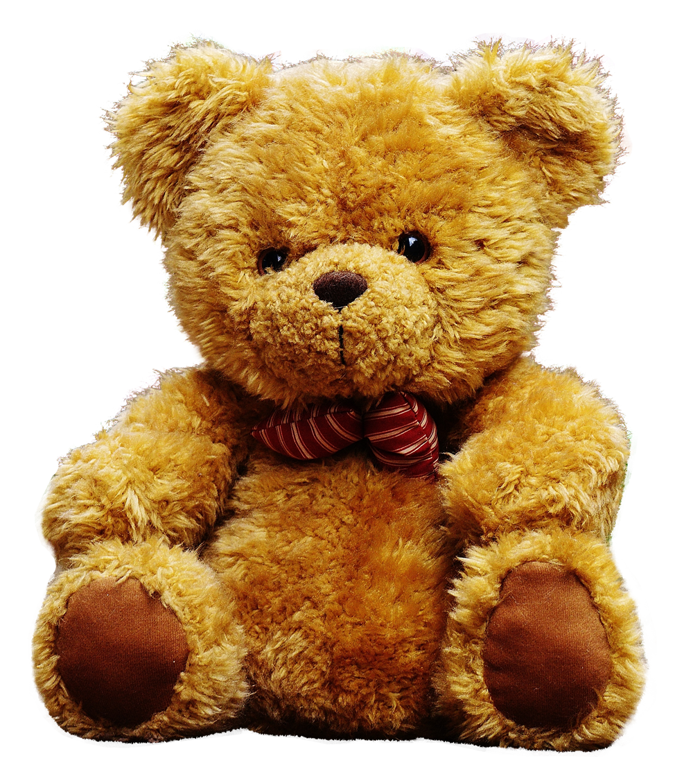 Detail Tedy Bear Png Nomer 31