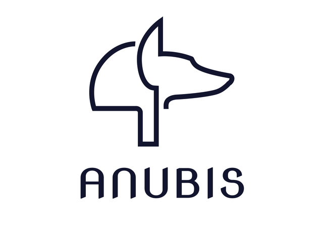 Detail Anubis Raid Nomer 15