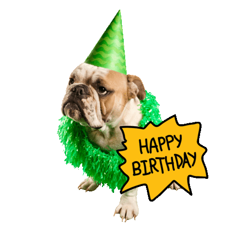 Happy Birthday Bild Mit Hund: A Comprehensive Guide to Capturing the Joy of Your Furry Friend's Special Day