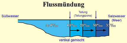 Meere Vermischen Sich Nicht - KibrisPDR