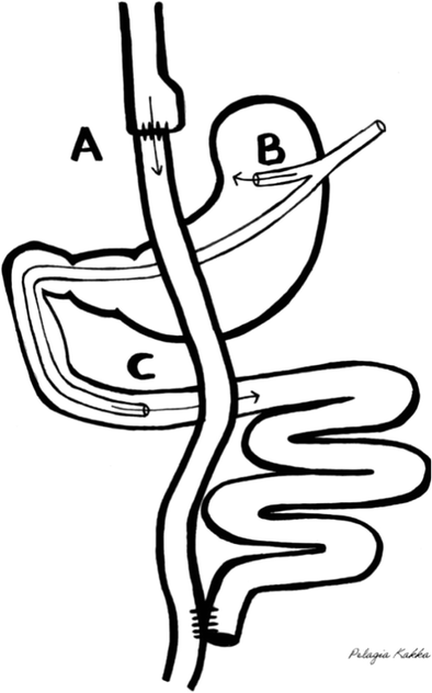 Detail Tcm Maler Nomer 14