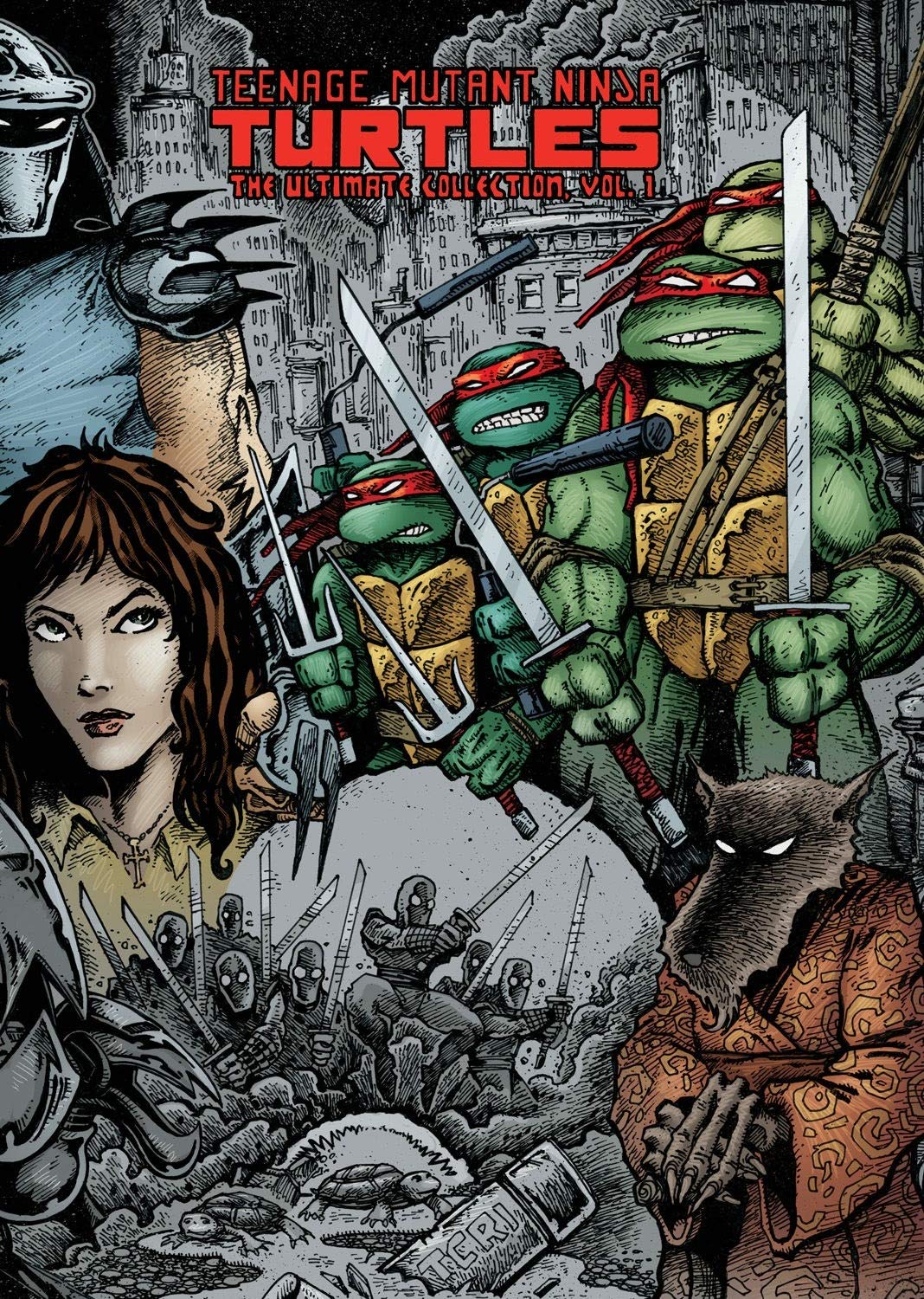 Detail Teenage Mutant Ninja Turtles Cartoon Images Nomer 41