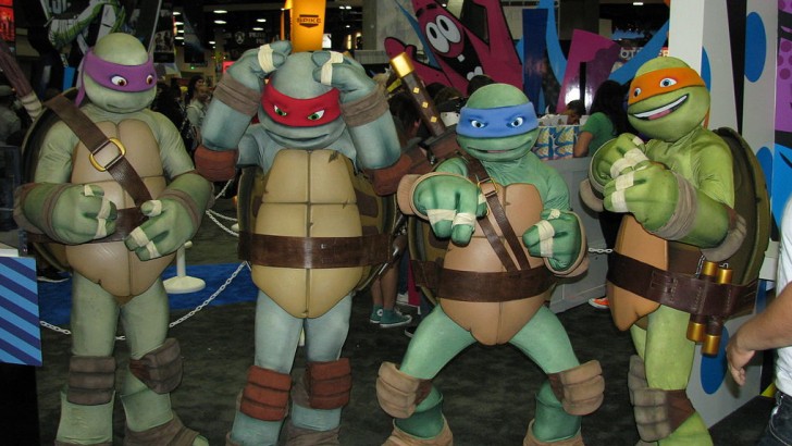 Detail Teenage Mutant Ninja Turtles Named After Nomer 22