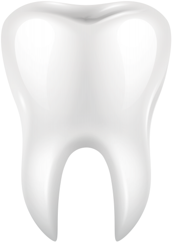 Detail Teeth Png Nomer 3