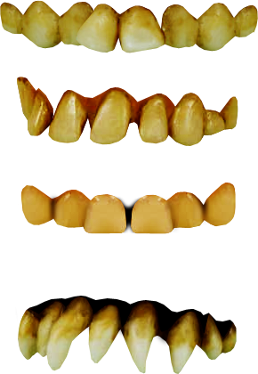 Detail Teeth Png Nomer 26