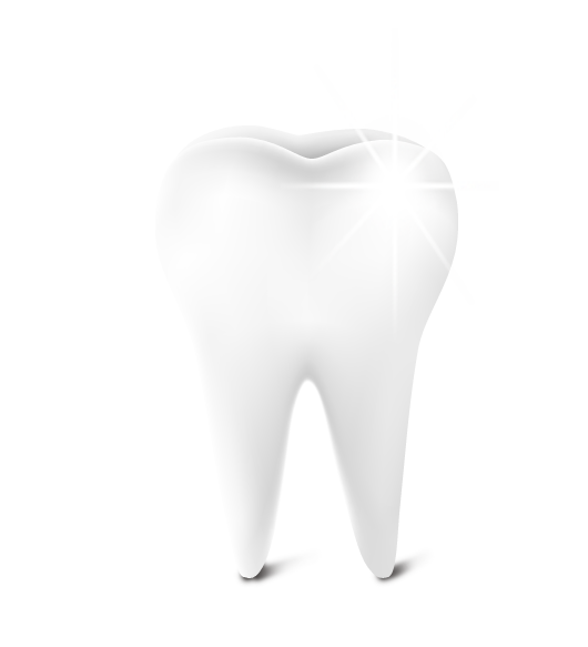 Detail Teeth Png Nomer 45