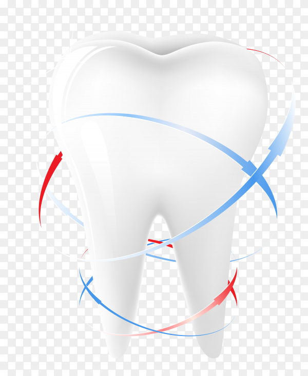 Detail Teeth Vector Png Nomer 20