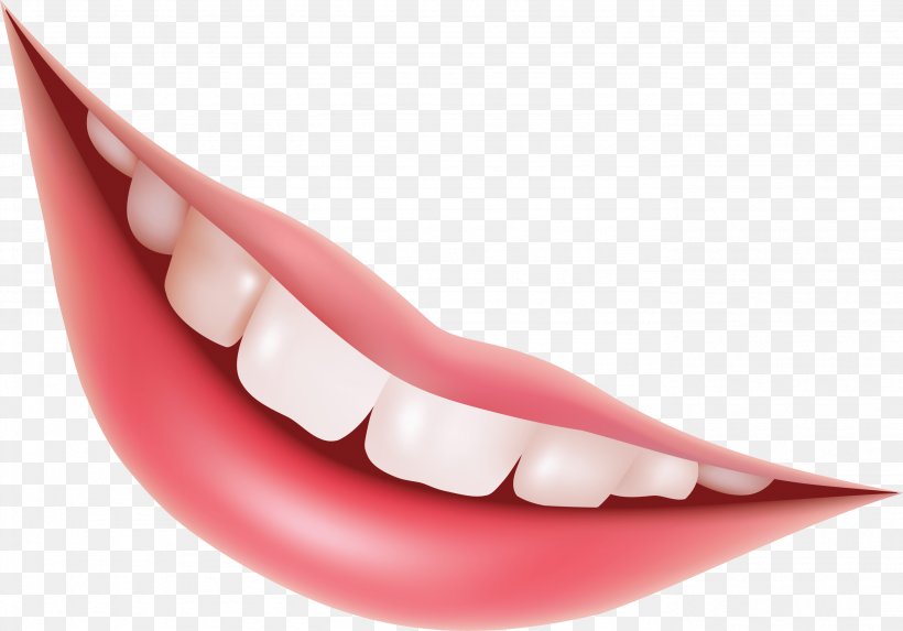 Detail Teeth Vector Png Nomer 42