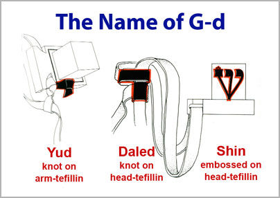 Detail Tefillin Definition Nomer 17