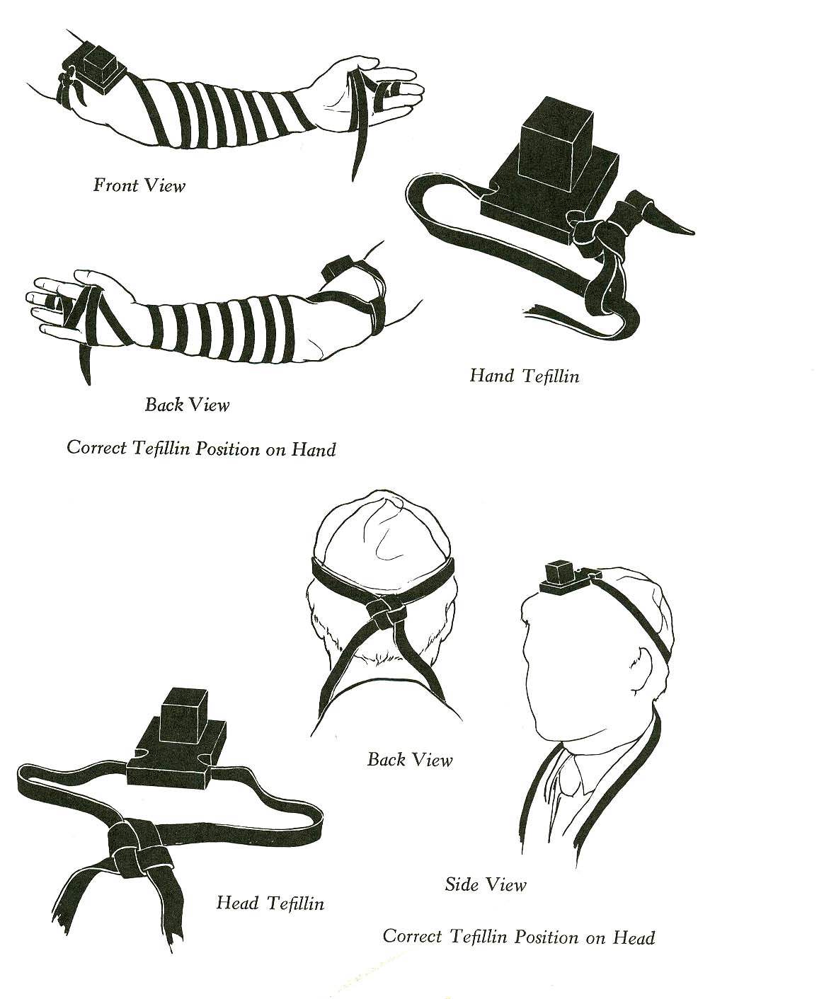 Detail Tefillin Definition Nomer 26