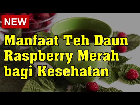 Detail Teh Daun Raspberry Merah Nomer 14