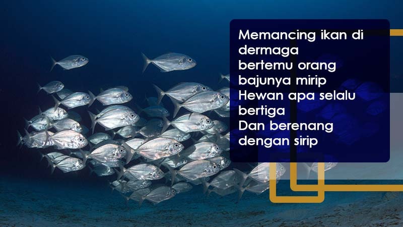 Detail Teka Teki Gambar Gajah Teka Teki Gambar Aneh Nomer 31