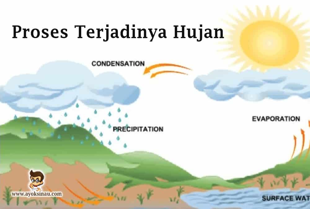 Detail Teks Eksplanasi Tentang Hujan Es Nomer 46