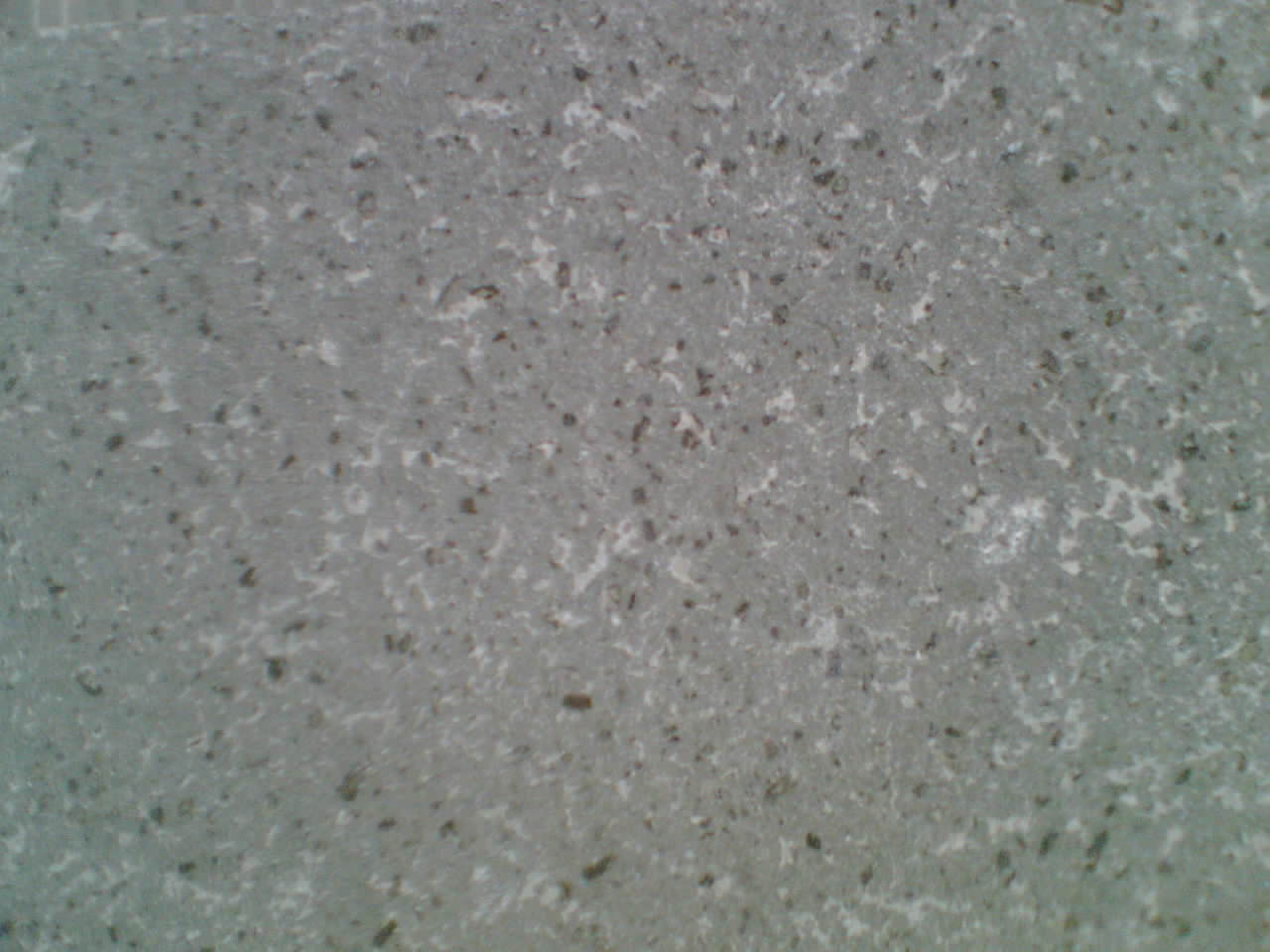Detail Tekstur Batu Candi Nomer 41