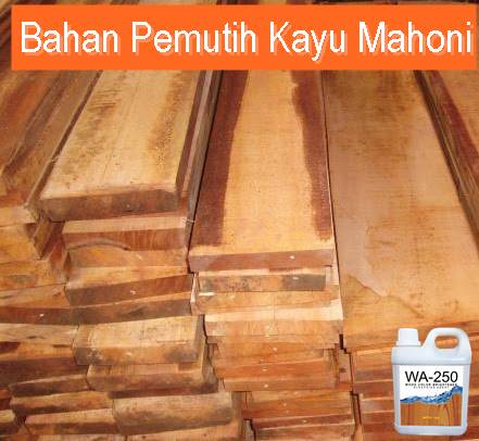 Detail Tekstur Kayu Mahoni Nomer 21