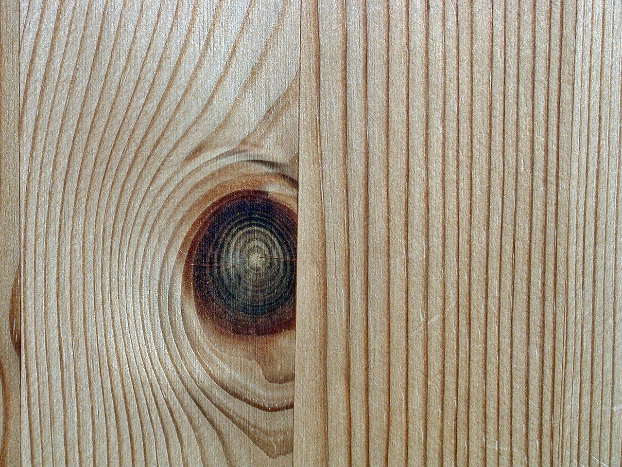 Detail Tekstur Kayu Pinus Nomer 3