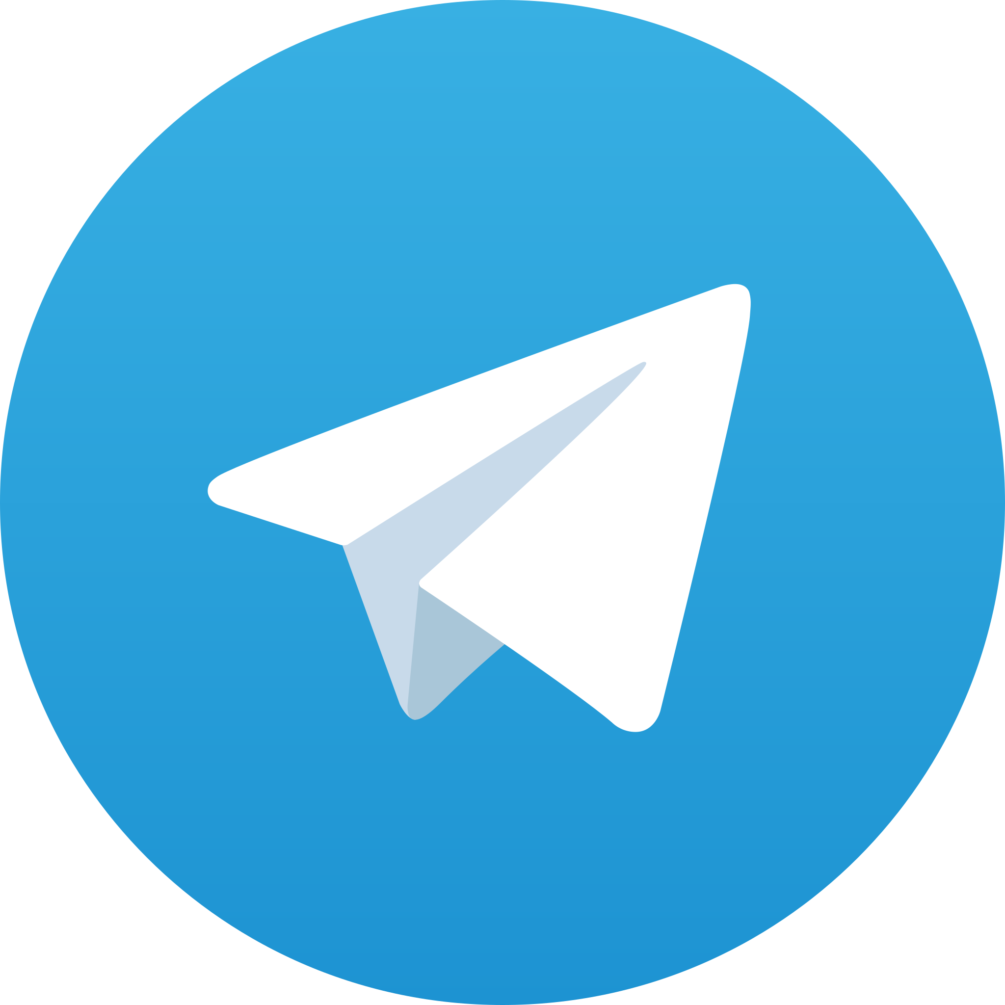Telegram App Logo - KibrisPDR