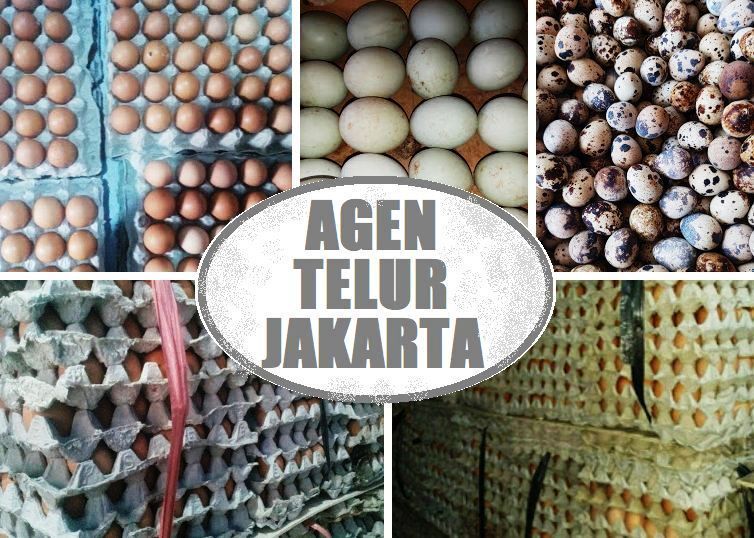 Detail Telur Asin Terdekat Nomer 29