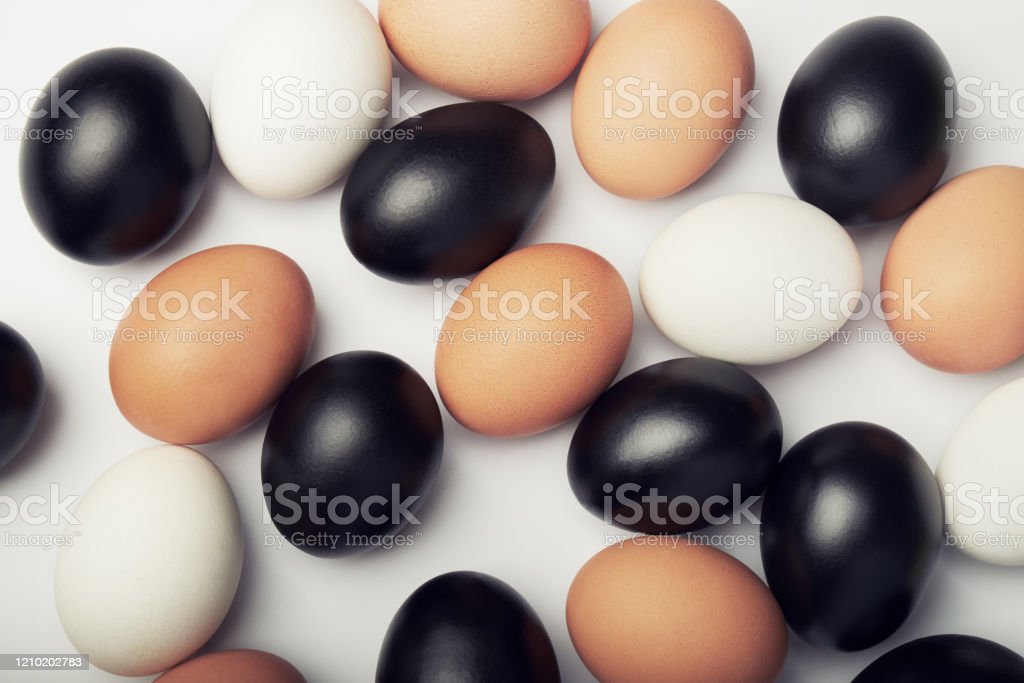 Detail Telur Ayam Hitam Nomer 6