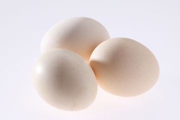 Detail Telur Ayam Kampung Png Nomer 10