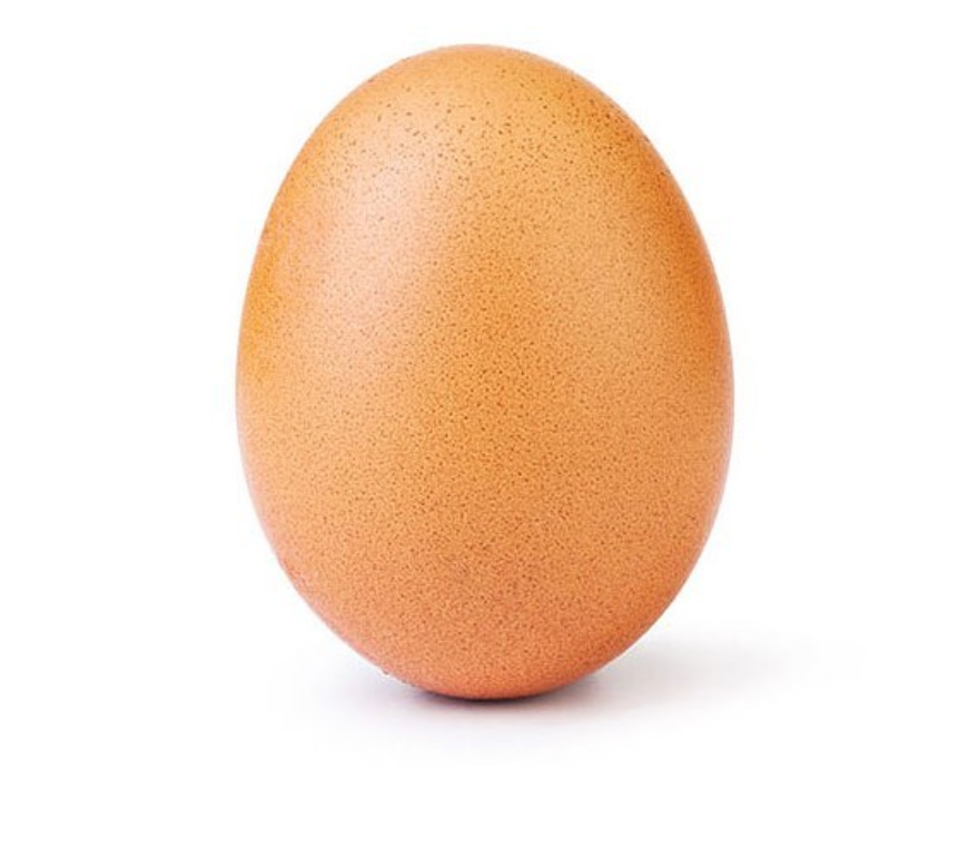 Detail Telur Ayam Kartun Nomer 32