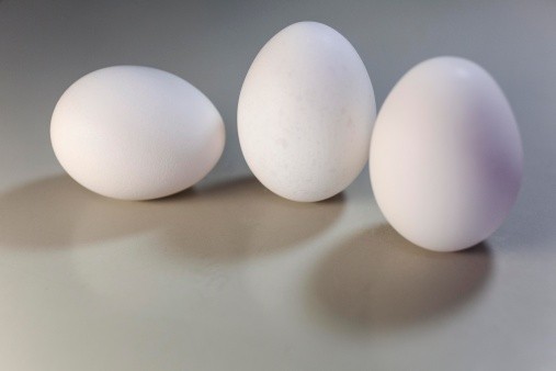 Detail Telur Ayam Negeri Warna Putih Nomer 3