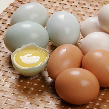 Detail Telur Ayam Negeri Warna Putih Nomer 44