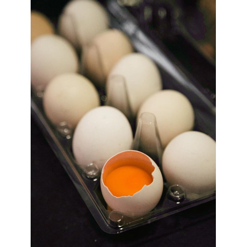 Detail Telur Ayam Organik Nomer 11