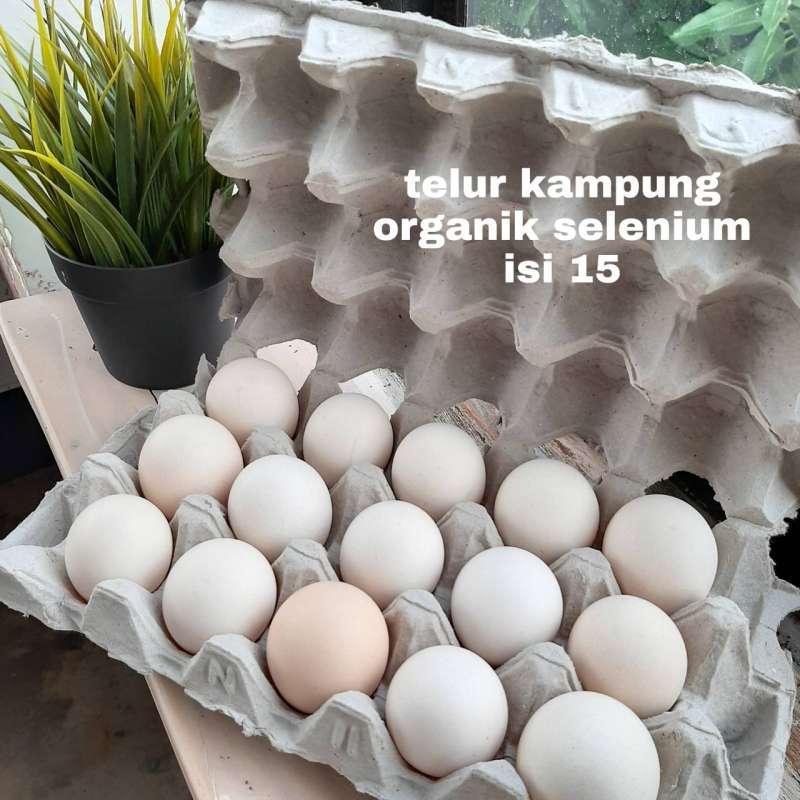 Detail Telur Ayam Organik Nomer 12