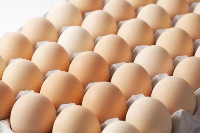 Detail Telur Ayam Organik Nomer 24