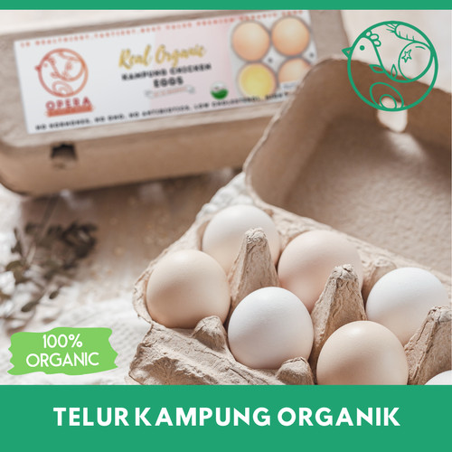 Detail Telur Ayam Organik Nomer 37