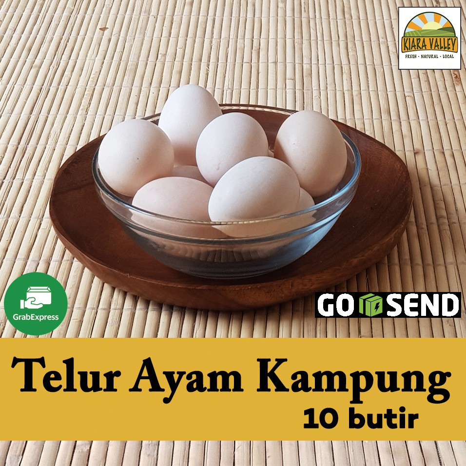 Detail Telur Ayam Organik Nomer 39