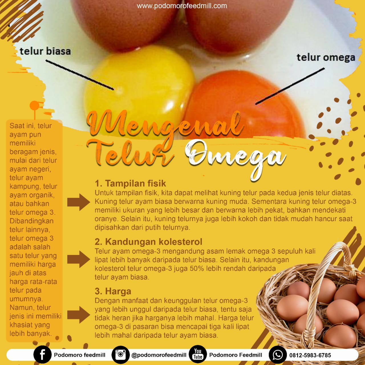 Detail Telur Ayam Organik Nomer 8