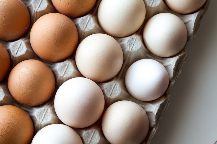 Detail Telur Ayam Warna Putih Nomer 10