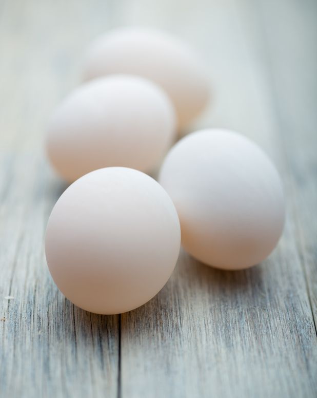 Detail Telur Ayam Warna Putih Nomer 19