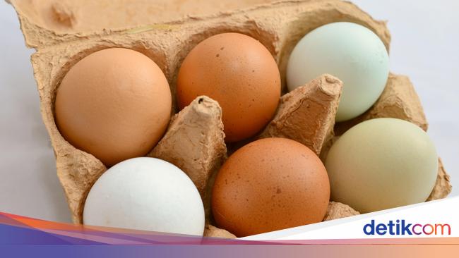 Detail Telur Ayam Warna Putih Nomer 49