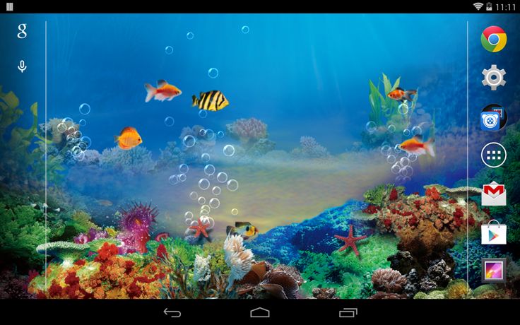 Detail Tema Bergerak Android Nomer 2